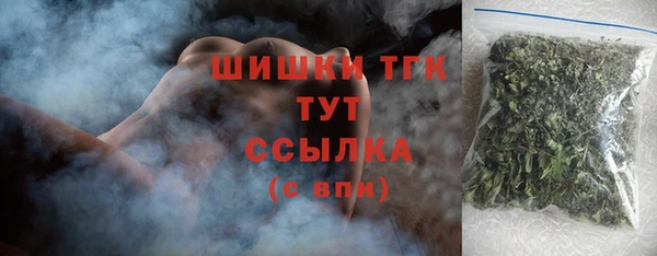 гашик Мегион