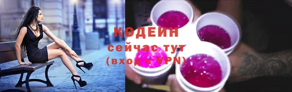 прущий лед Алексин
